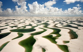 Green water on white sand