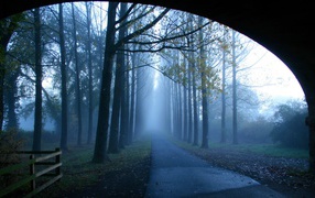 Misty alley near the bridge