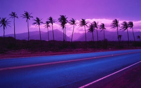Palm trees on a background of purple mountains and clouds