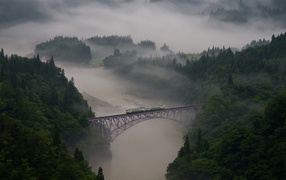 Железнодорожный мост в виде арки над зеленым лесом и рекой
