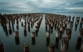 Rows of wooden piles in water