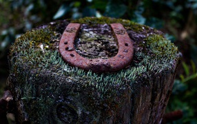 Rusty horseshoe on a stump