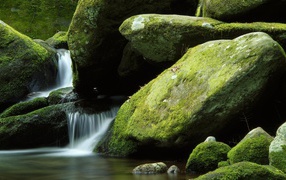 Поток воды среди покрытых мхом камней