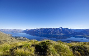 Суровая дикая природа