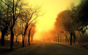 The road goes into the orange haze