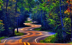 Winding road in the woods