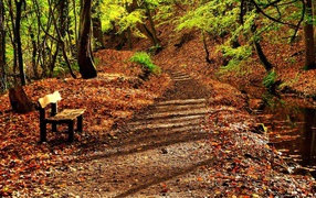 Деревянная скамья на усыпанной листьями аллее
