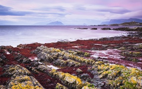 Желтые камни на берегу моря