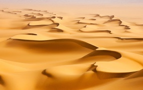 Bizarre forms dunes in the desert