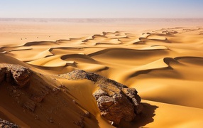 Stones under the sand of the desert