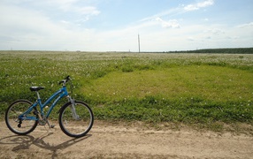 Велосипед на краю цветущего поля