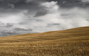 Темное небо над скошенным полем