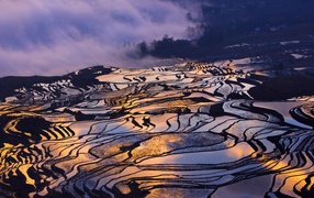 Залитые водой рисовые поля