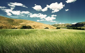 Зеленое поле между холмов