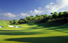 Зеленое поле для гольфа