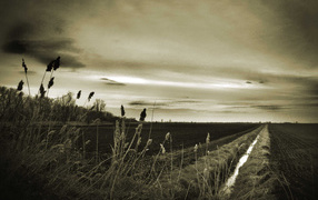 Оросительный канал