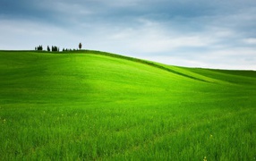 Landscaped green field