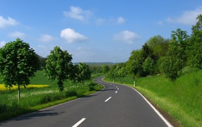 Ровная дорога среди полей в Украине