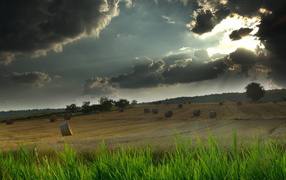 Грозовые тучи над полем