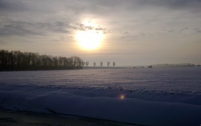 Заметенное снегом поле