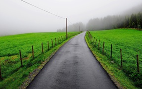 Мокрая дорога между зеленых полей