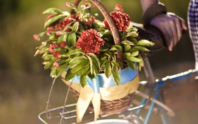 Корзина цветов на багажнике велосипеда