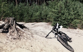 Велосипед у пенька среди леса