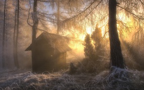 Hunting hut in the frosty woods