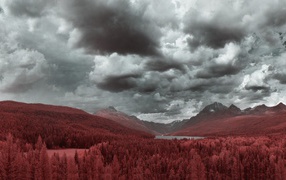 Рыжий лес в предгорье