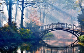 The sun's rays penetrate the wood and the bridge over the river