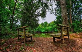 Two benches at the forest lake