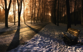 Вечер в заснеженном парке