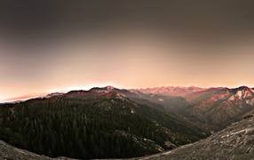 Поросшее хвойным лесом плоскогорье