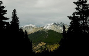 Фото гор среди деревьев