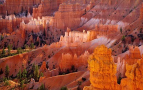 Желтый скалистый каньон