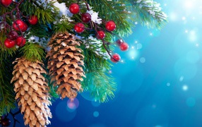 Шишки и ягоды на хвойном дереве