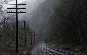 Железная дорога среди мрачного леса