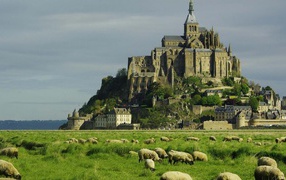 Овцы пасутся на фоне неприступного замка