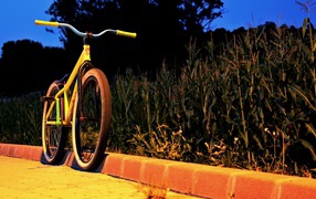 Желтый велосипед у обочины