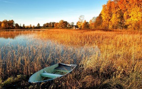 Лодка у берега заболоченного озера