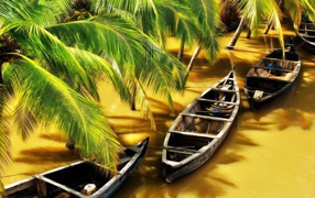 Лодки под пальмами на коричневой реке