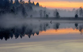 Густой утренний туман над небольшой рекой