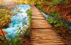 Деревянный мост через речку