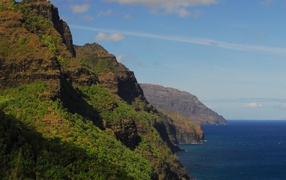 Покрытые лесом скалы над морем