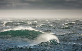 Бурное Берингово море