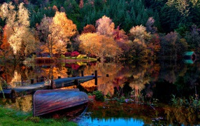 Осенние деревья вокруг озера
