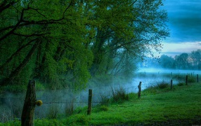 Весенние деревья над рекой