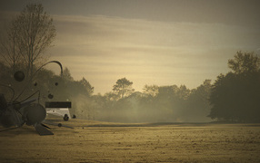 Туманное утро летом