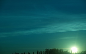 Зеленый закат над лесом