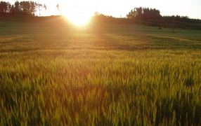 Солнце заходит за холм